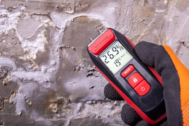 Best Home Mold Removal  in Ellitt, CO