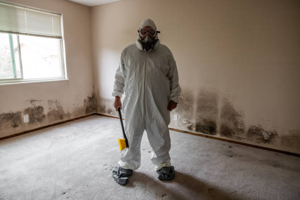 Best Certified Mold Removal  in Ellitt, CO